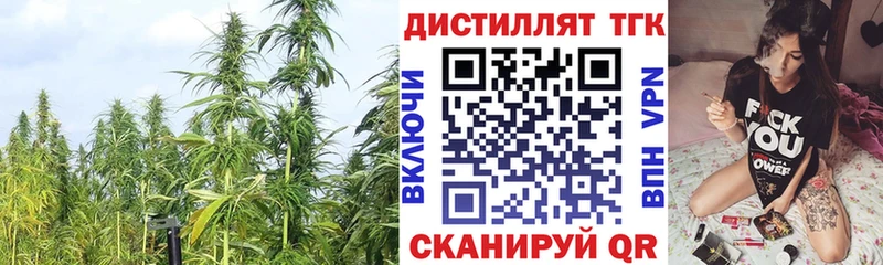 купить наркотик  Каргополь  ТГК Wax 